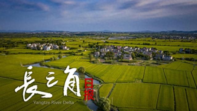 【长三角日报】傅明将迎首秀，成首位执法本届世界杯中国籍裁判员 | 中国区|球友会|股份有限公司