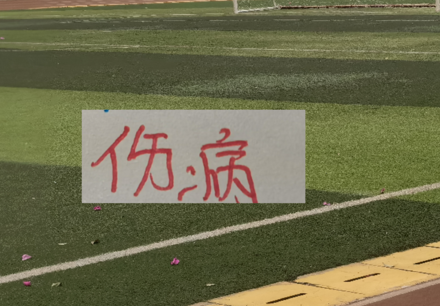 申花今年耗损有点多！联赛没打前就有伤病 | 中国区|球友会|股份有限公司