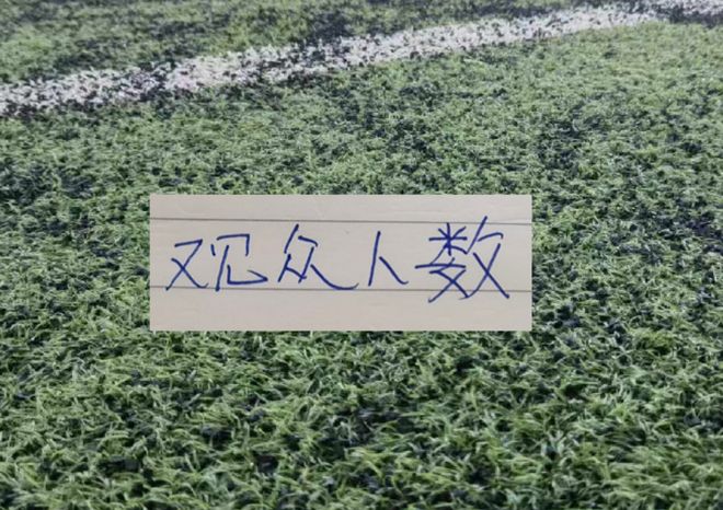 王楚钦/孙颖莎晋级WTT美国大满贯混双八强 | 中国区|球友会|股份有限公司