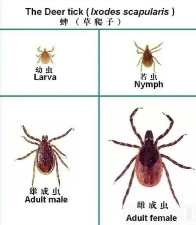 斯通斯:主教练赛后不高兴我不惊讶,我想我们球员也一样
