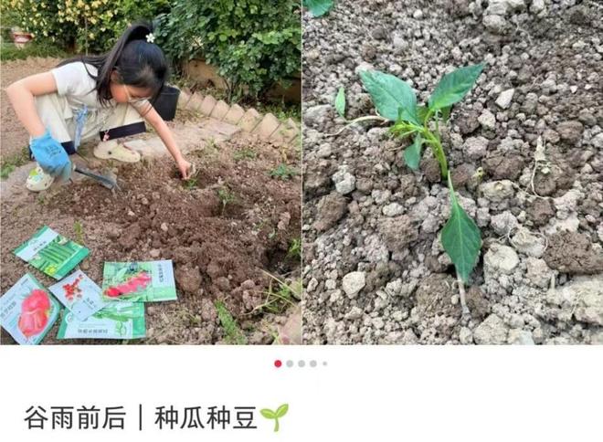 世界杯神剧情 瑞士扳平5分钟后遭重创 锋霸假摔染红 捂脸痛哭离场