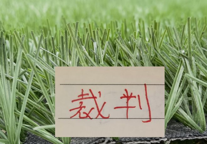 第21轮裁判安排！领头羊成都大牌面 三世界杯裁判科瓦奇 马宁 傅明 | 中国区|球友会|股份有限公司