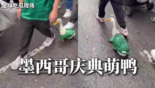 CBA一周综述:上海、广厦提前锁定季后赛席位