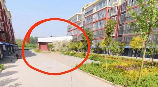 李金羽谈哈兰德在中国大量圈粉:好像没有愁事,一天乐呵呵的