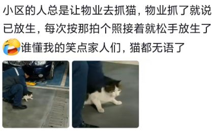正式确定!中国男篮锋线大将完成转会,加盟北控男篮